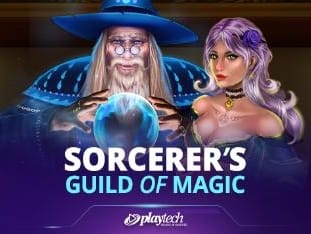 Sorcerer's Guild Of Magic game thumbnail