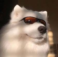 Andika Hazrumy avatar